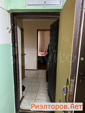     1 231 ( 8)