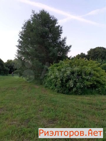      431 ( 23)