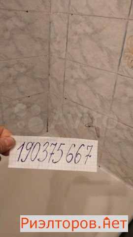      391 ( 11)