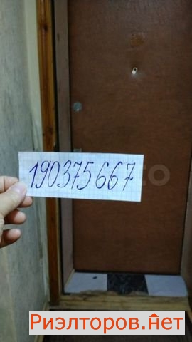      391 ( 8)