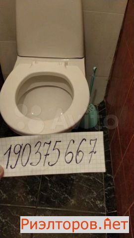      391 ( 9)