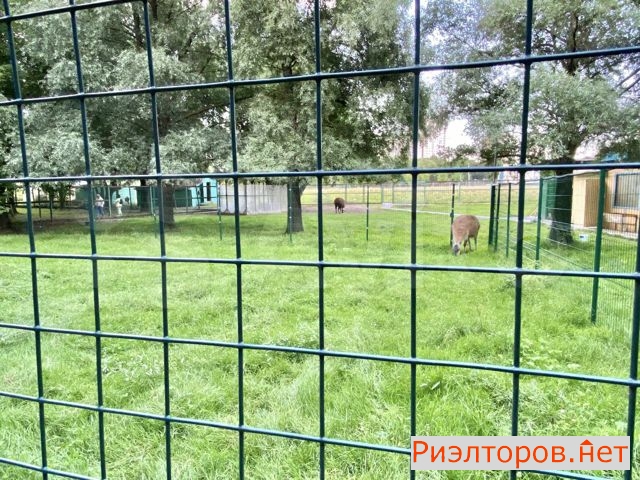 ������ �������� �������� ����������� 94�2 (���� �33)