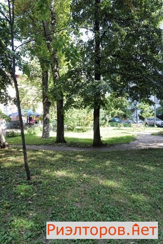   1-   25 ( 19)