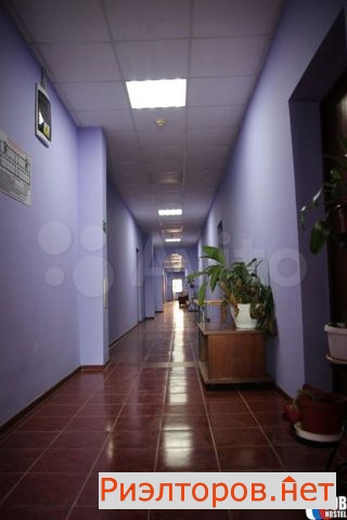   ( 4)