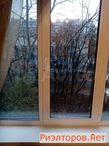   ( 4)