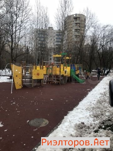   ( 2)