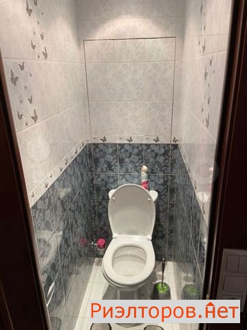  ( 6)