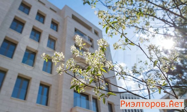 ������ �������� (���� �19)