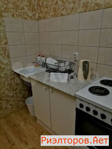      291 ( 13)