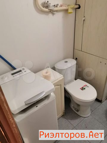     91 ( 10)
