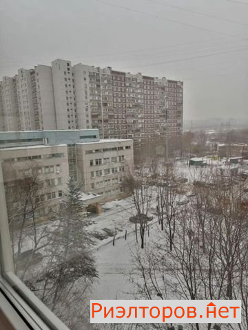   -  32 ( 17)