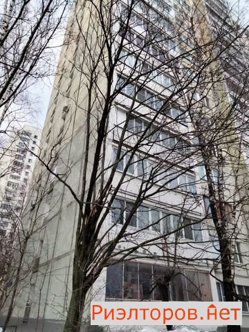   ( 3)