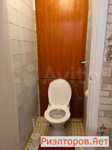   ( 2)