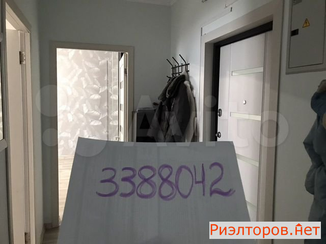   ( 2)