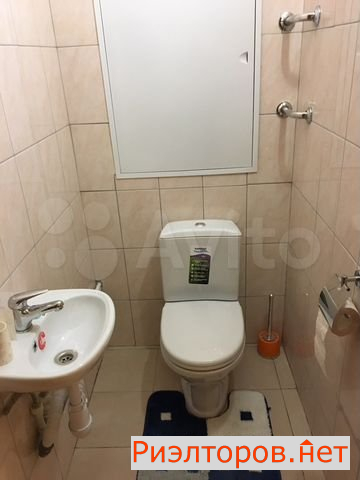        ( 3)