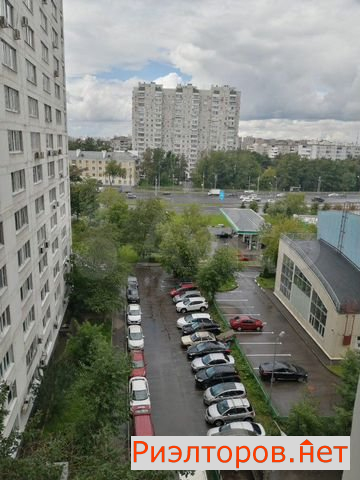     1162 ( 11)