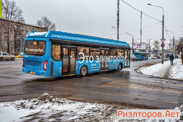      417 ( 21)