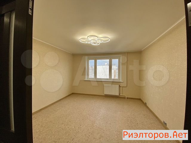     371 ( 11)