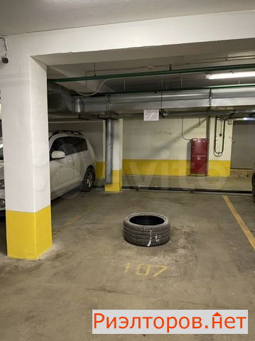      81 ( 2)