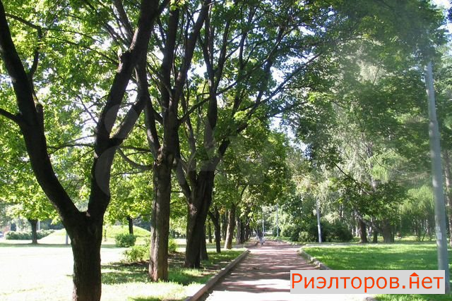 ������ �������� ������������ ����� 4 (���� �5)