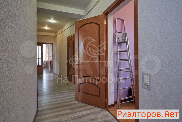     ( 2)