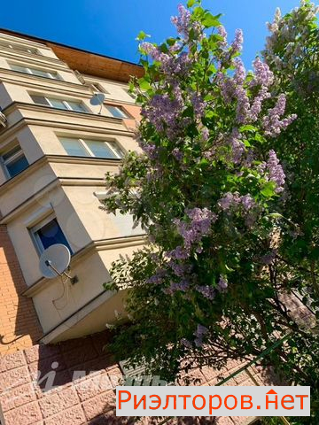 ������ �������� ������� �������� ����� 5 (���� �19)