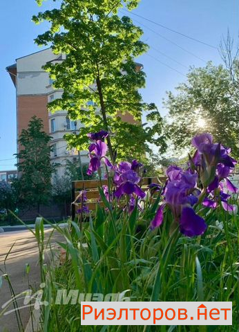 ������ �������� ������� �������� ����� 5 (���� �21)