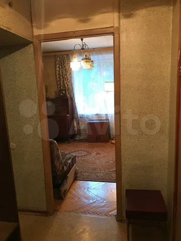     291 ( 17)