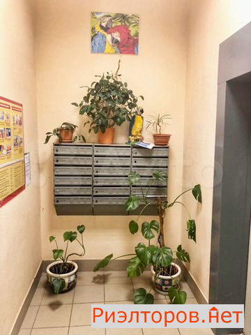 ������ �������� ���������� ����� 12 (���� �5)