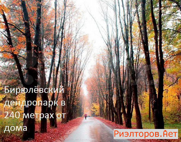 ������ �������� ���������� ����� 49�4 (���� �31)