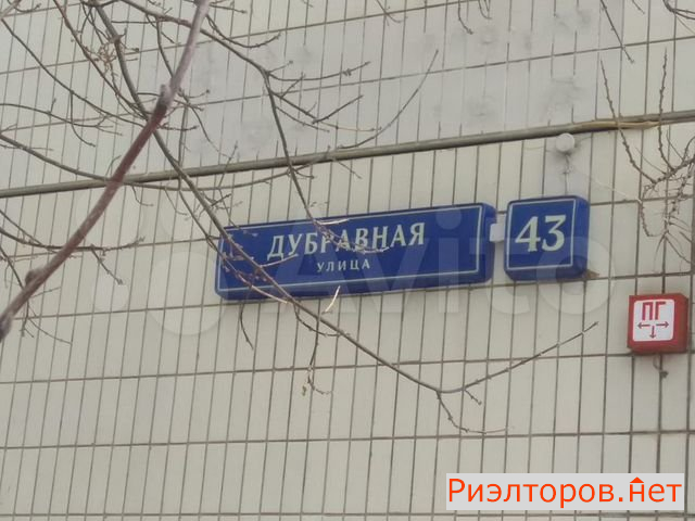     43 ( 19)