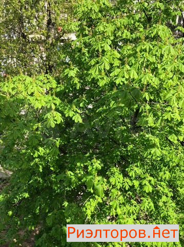 ������ �������� �������� ����� 11 (���� �9)