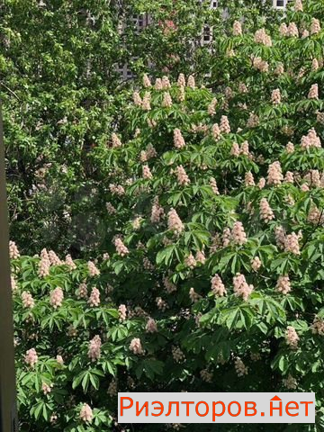 ������ �������� �������� ����� 11 (���� �10)