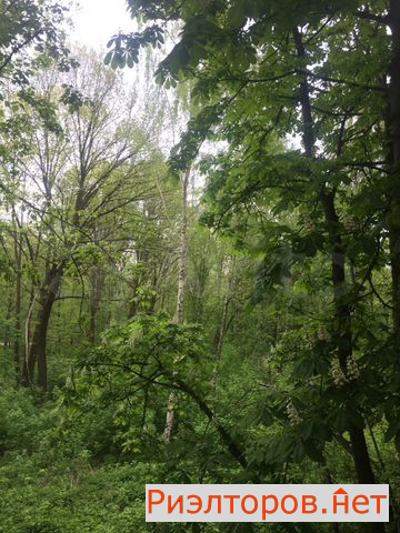 ������ �������� ������� ��� ������� 19�2 (���� �12)