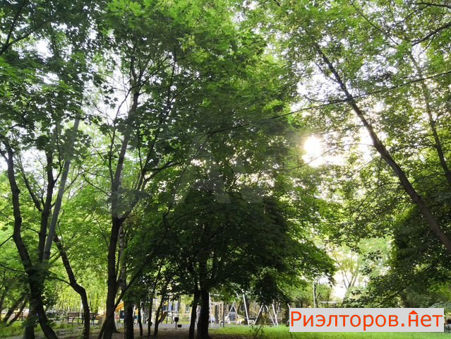 ������ �������� ����� ������� ��������� 34 (���� �12)