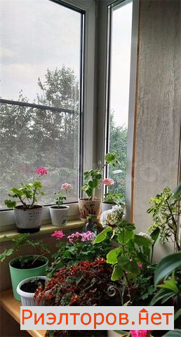 ������ �������� �������������� �������� 40�3 (���� �13)