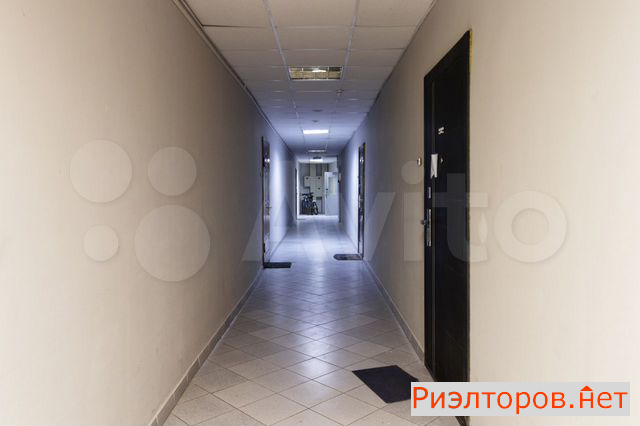     251 ( 11)