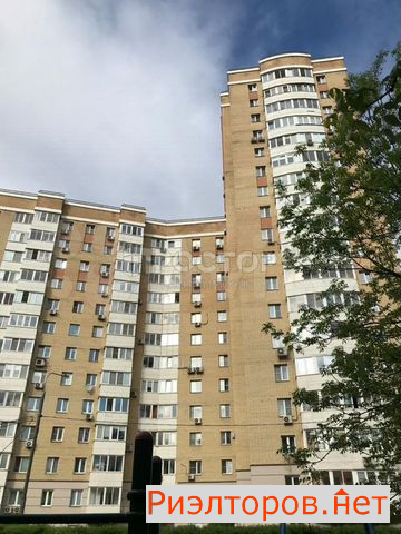     131 ( 19)
