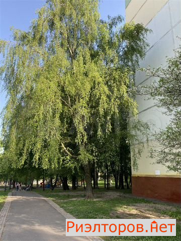 ������ �������� ����� �������-������ 57�2 (���� �30)