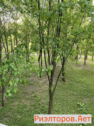 ������ �������� ����� �������-������ 57�2 (���� �31)