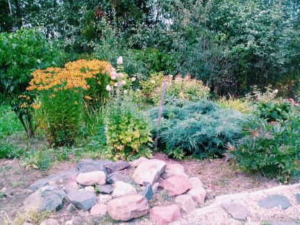 ������ ��������� ������� �� 76 �� �� ���� �� ������������ ����� (���� �2)