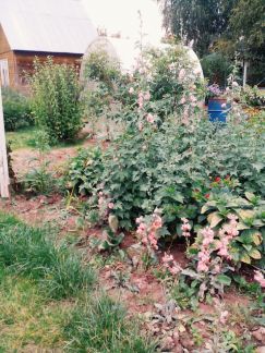 ������ ��������� ������� �� 76 �� �� ���� �� ������������ ����� (���� �4)