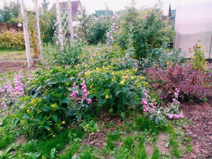 ������ ��������� ������� �� 76 �� �� ���� �� ������������ ����� (���� �3)