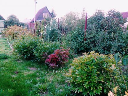 ������ ��������� ������� �� 76 �� �� ���� �� ������������ ����� (���� �5)