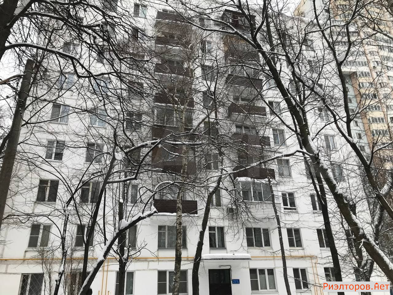     202 ( 24)