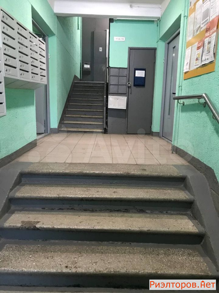     202 ( 25)