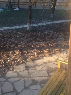 ������ ��� �������� (���� �15)