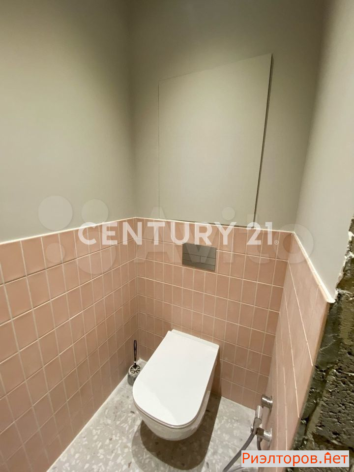   293 ( 54)