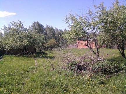 ������ ��� ���� ������ (���� �2)