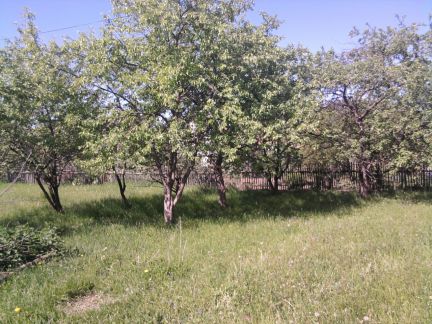 ������ ��� ���� ������ (���� �4)